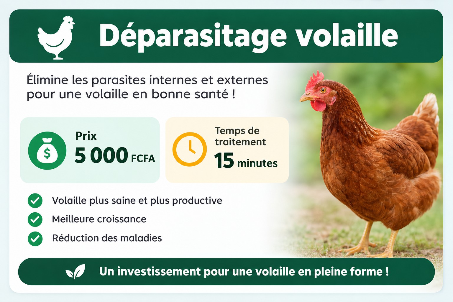 Déparasitage volaille